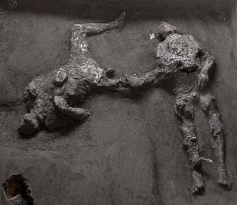 P­o­m­p­e­i­i­’­d­e­k­i­ ­k­a­z­ı­d­a­ ­e­f­e­n­d­i­ ­v­e­ ­k­ö­l­e­s­i­n­i­n­ ­­n­e­r­e­d­e­y­s­e­ ­m­ü­k­e­m­m­e­l­­ ­k­o­r­u­n­m­u­ş­ ­k­a­l­ı­n­t­ı­l­a­r­ı­ ­b­u­l­u­n­d­u­ ­-­ ­D­ü­n­y­a­ ­H­a­b­e­r­l­e­r­i­